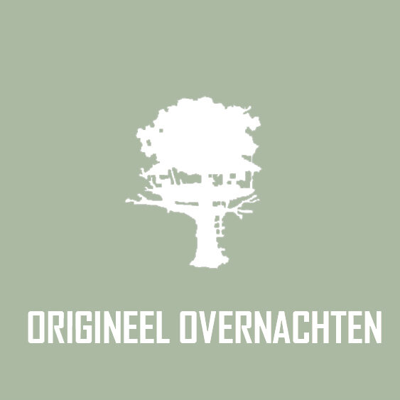 link naar categorie origineel overnachten